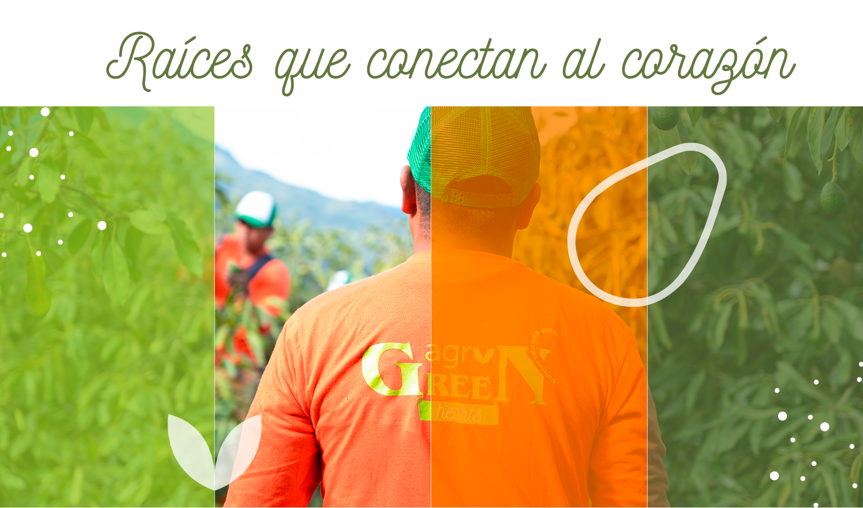 collagefotográfico