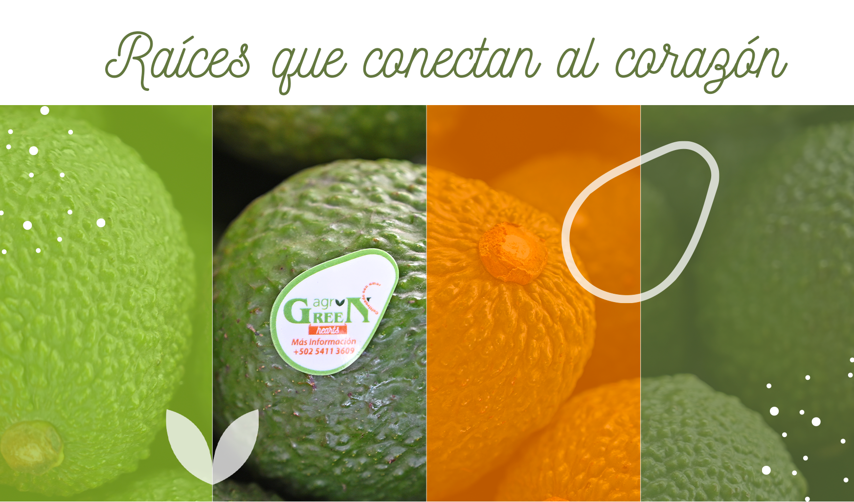 collagefotográfico2
